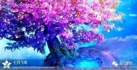 小型的足球赛